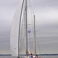 Andromede 1 medium 1 sur 1