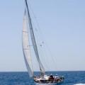 Corina icone 1