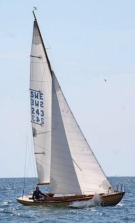 Jp1 b