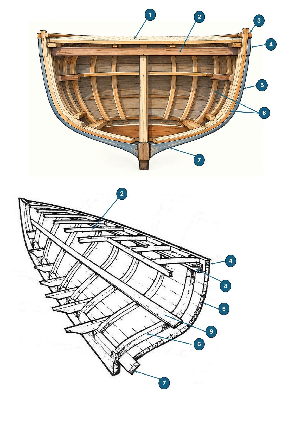 Schéma structure coque